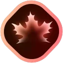 uzairm