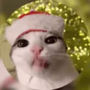 neksid