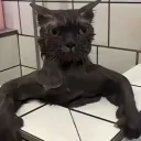 chilledjuice