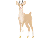 fellino