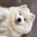 uwuuuhehe