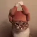 veryrarel4