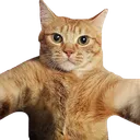 gintan_