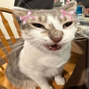 avatar Mr. Rectal Prolapse