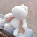 avatar 有期末考了