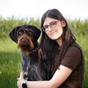 lira_amarok