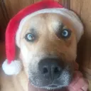 kmoncayojr11