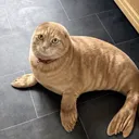 mrandrex24