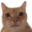 mrandrex24
