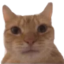 mrandrex24