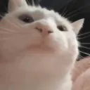 poezdec