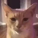 f8ke