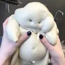 _yourbub_