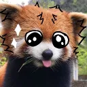 gavingetscandy