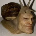 cheddachezchad
