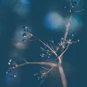 poisoninmyveins09