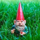 avatar The Gnome Of Wisdom