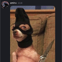 avatar amiru