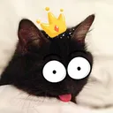 cattinomasterino