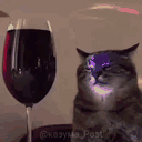 crazybacchus