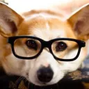 tofurkie
