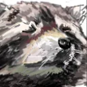 tanukigomi_nxs