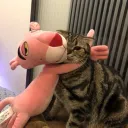 .krcx