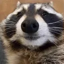 acidicbear avatar