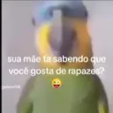 snake407 avatar
