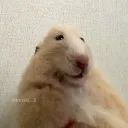 qkznl_