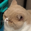 avatar 𝔇𝔬𝔪𝔷