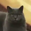 markwastakenvr