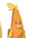 manteigaescote