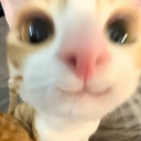 avatar DanielV1