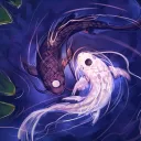 midnightmishima