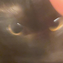 avatar Beavery🍾🐠🐟