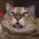 rico.rar#3350's avatar