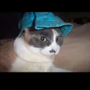 captntrina