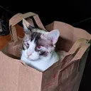 b.l.b.