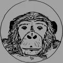 bonobo_comma_the_one_and_only