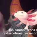 leinadelajolote avatar
