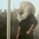 lion2525