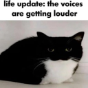 avatar SAMPLE_TEXT