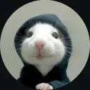 giovannih