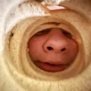 bread.exe avatar
