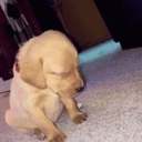 Henry