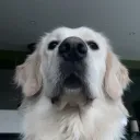 tusbru