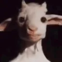veryniceandpoliteyoungman