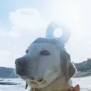 therealrealsaki