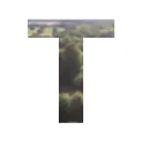 tyler58546